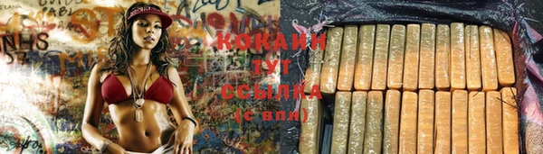 PSILOCYBIN Абдулино
