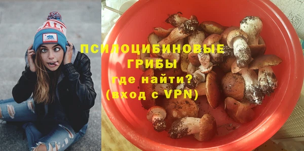 PSILOCYBIN Абдулино