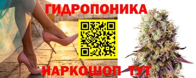 дурь Гусиноозёрск