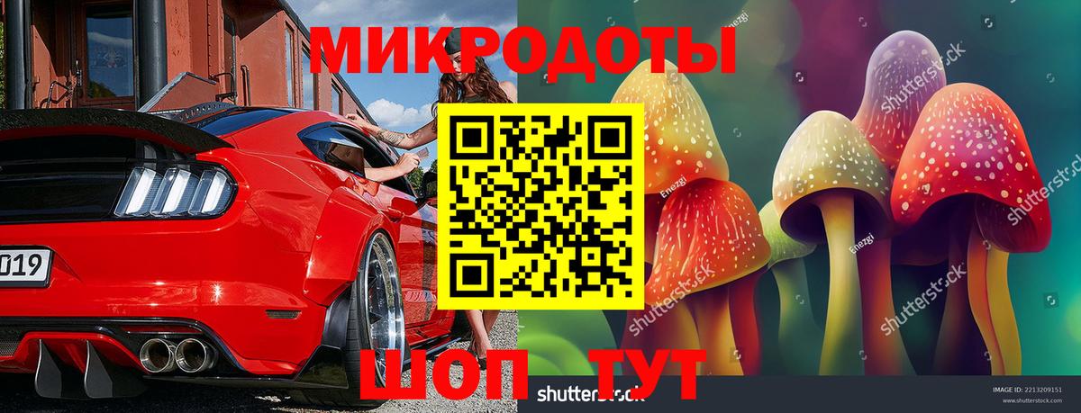 Псилоцибиновые грибы Psilocybe  что такое наркотик  Шебекино  Вход с VPN 