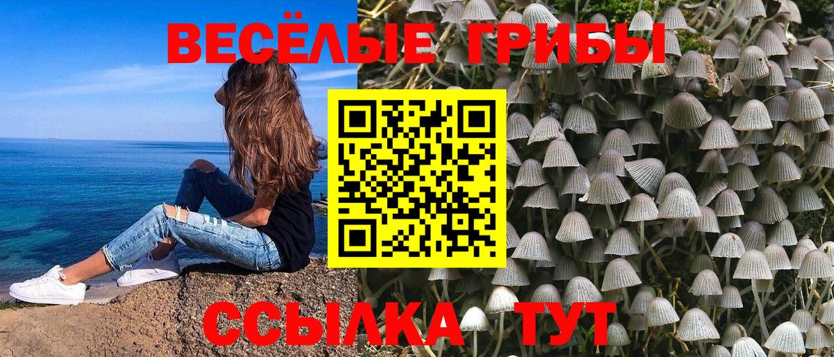 Галлюциногенные грибы Psilocybe Шебекино